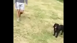 Gay Bulgu &comma; bulto public gay &comma;gay public